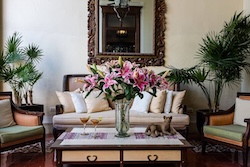 Table Full of Spices