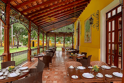 Table Full of Spices