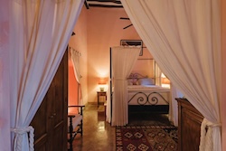 Table Full of Spices