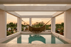 Table Full of Spices