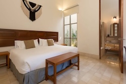 Table Full of Spices