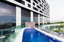 Table Full of Spices