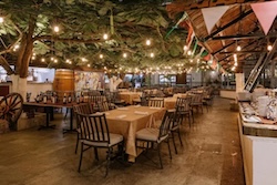 Table Full of Spices