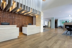 Table Full of Spices