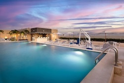 Table Full of Spices